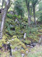 Glenveagh-Nationalpark 1 &ndash; &copy; Vivien Fiedler (Eberhardt TRAVEL)