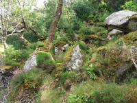 Glenveagh-Nationalpark 1 &ndash; &copy; Vivien Fiedler (Eberhardt TRAVEL)