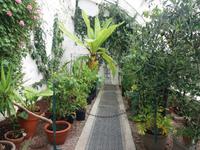 Kylemore Garden 1 &ndash; &copy; Vivien Fiedler (Eberhardt TRAVEL)