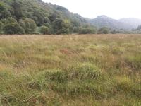 Glendalough 1 &ndash; &copy; Vivien Fiedler (Eberhardt TRAVEL)