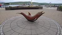 In Dingle Town