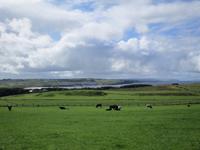 Giant Causeway &ndash; &copy; Constanze Hölig (Eberhardt TRAVEL)