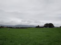 Carrowmore &ndash; &copy; Constanze Hölig (Eberhardt TRAVEL)