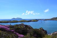 Zusatzwanderung zum Derrynane House &ndash; &copy; Andreas Wolfsteller (Eberhardt TRAVEL)