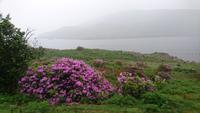 Am irischen Fjord &ndash; &copy; Stefan Jahnke (Eberhardt TRAVEL)