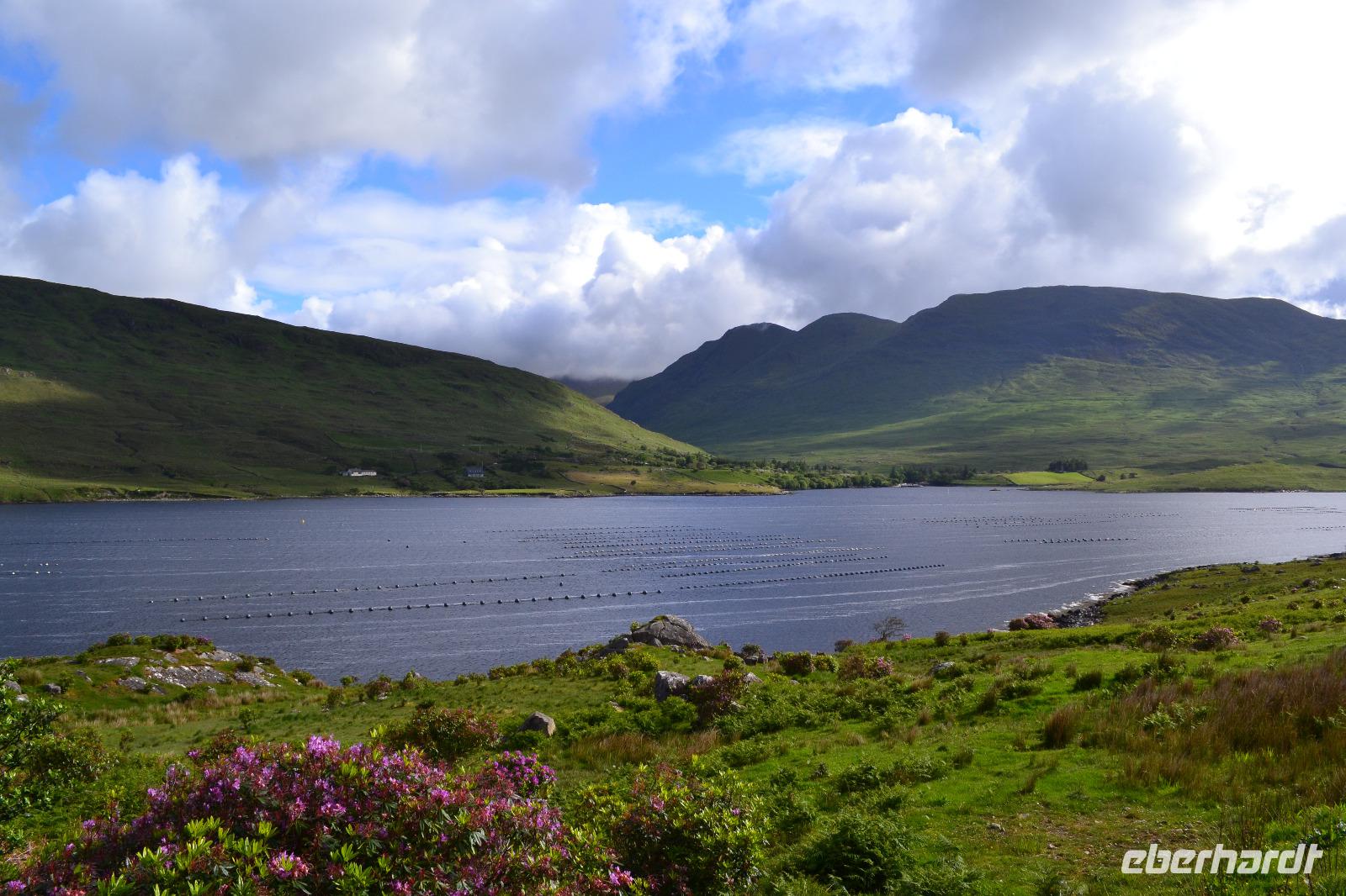 Fotostopp am Killary Harbour &ndash; &copy; Andreas Wolfsteller (Eberhardt TRAVEL)