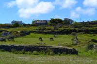 Tag auf den Aran Islands - Wanderung auf Inishmore &ndash; &copy; Andreas Wolfsteller (Eberhardt TRAVEL)