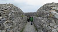 Carrowmore &ndash; &copy; Petra Sauer (Eberhardt TRAVEL)