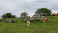 Carrowmore &ndash; &copy; Petra Sauer (Eberhardt TRAVEL)