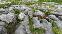 The Burren