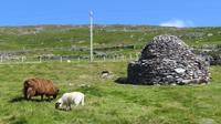 Beehive &ndash; &copy; Petra Sauer (Eberhardt TRAVEL)