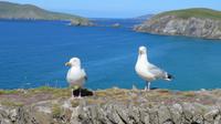 Slea Head Drive &ndash; &copy; Petra Sauer (Eberhardt TRAVEL)