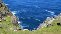 Dingle &ndash; &copy; Petra Sauer (Eberhardt TRAVEL)