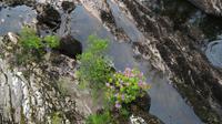 Sneem &ndash; &copy; Petra Sauer (Eberhardt TRAVEL)