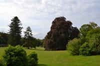 Coole Park &ndash; &copy; Andreas Wolfsteller (Eberhardt TRAVEL)