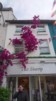 In Galway &ndash; &copy; Stefan Jahnke (Eberhardt TRAVEL)