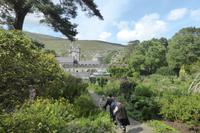 021-Glenveigh-NP