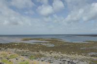 044_Inishmore_Seal-Bay &ndash; &copy; Dirk Schlosser (Eberhardt TRAVEL)
