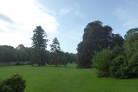 074-Coole-Park &ndash; &copy; Dirk Schlosser (Eberhardt TRAVEL)
