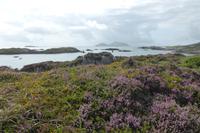 085-Wanderung_Derrynane-NP &ndash; &copy; Dirk Schlosser (Eberhardt TRAVEL)