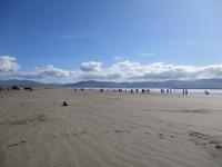 Dingle &ndash; &copy; Constanze Hölig (Eberhardt TRAVEL)