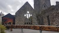 Waterford &ndash; &copy; Constanze Hölig (Eberhardt TRAVEL)