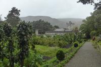 009-Glenveagh