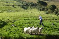 047-Schaefer-Branden &ndash; &copy; Dirk Schlosser (Eberhardt TRAVEL)