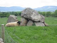 Carrowmore &ndash; &copy; Ralf Kuchenbecker (Eberhardt TRAVEL)