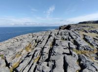 17-Burren