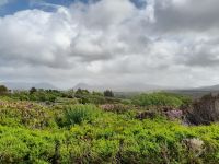 Connemara &ndash; &copy; Sinah Witzig (Eberhardt TRAVEL)