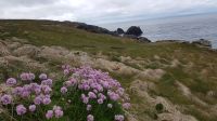 Malin Head &ndash; &copy; Constanze Maißel (Eberhardt TRAVEL)
