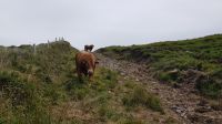Ring of Kerry &ndash; &copy; Constanze Maißel (Eberhardt TRAVEL)