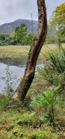 An der Kylemore Abbey  &ndash; &copy; Marlies Thrum (Eberhardt TRAVEL)