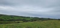 20220921_092857.jpg auf dem Weg zu den Cliffs of Moher &ndash; &copy; Marlies Thrum (Eberhardt TRAVEL)