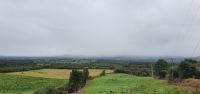20220925 085734 Fahrt nach Blarney &ndash; &copy; Marlies Thrum (Eberhardt TRAVEL)