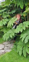 20220925 120055 Gärten am Blarney Castle &ndash; &copy; Marlies Thrum (Eberhardt TRAVEL)
