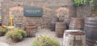 20220926_092617.jpg Jameson Brennerei in Midleton &ndash; &copy; Marlies Thrum (Eberhardt TRAVEL)