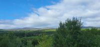 20220926_123735.jpg Fahrt nach Dublin &ndash; &copy; Marlies Thrum (Eberhardt TRAVEL)
