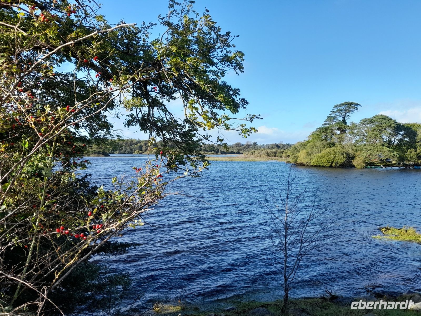 Lough Leane &ndash; &copy; Sinah Witzig (Eberhardt TRAVEL)