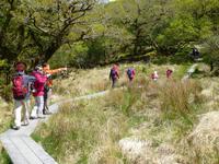Old Kenmare Road &ndash; &copy; Ralf Kuchenbecker (Eberhardt TRAVEL)