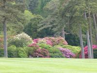 Muckross Park &ndash; &copy; Ralf Kuchenbecker (Eberhardt TRAVEL)