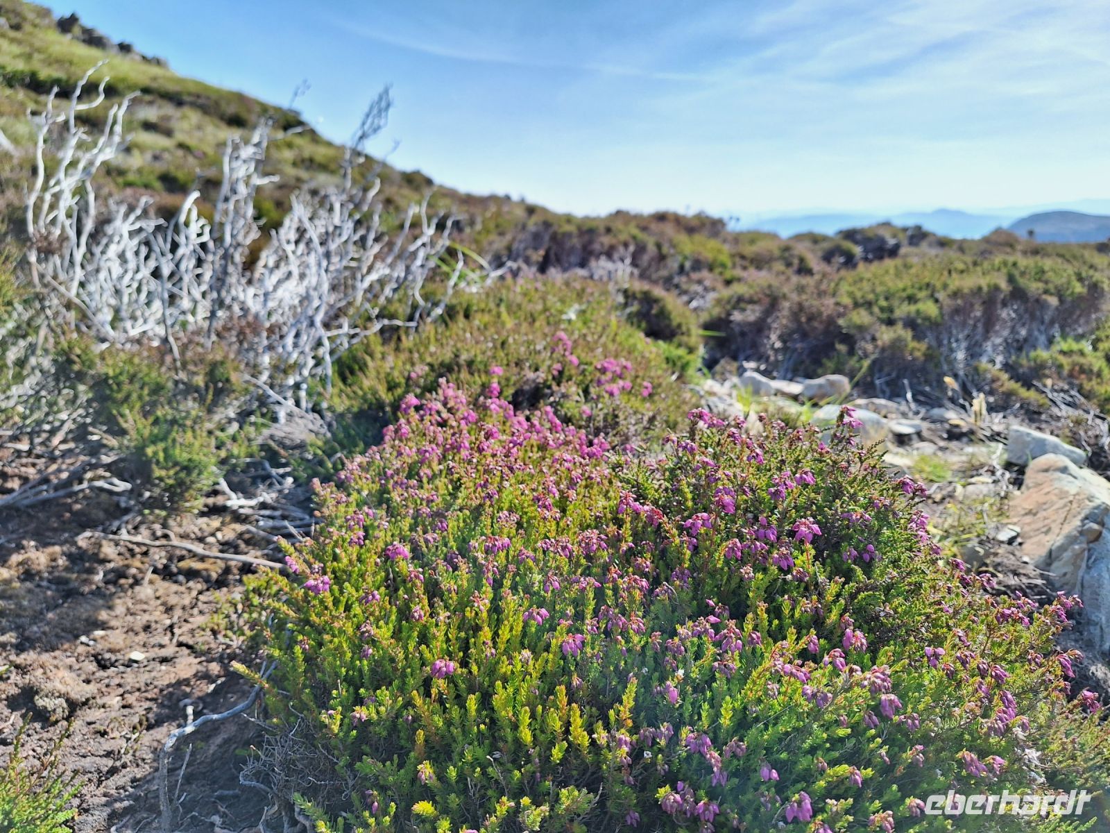 Horn Head &ndash; &copy; Sinah Witzig (Eberhardt TRAVEL)