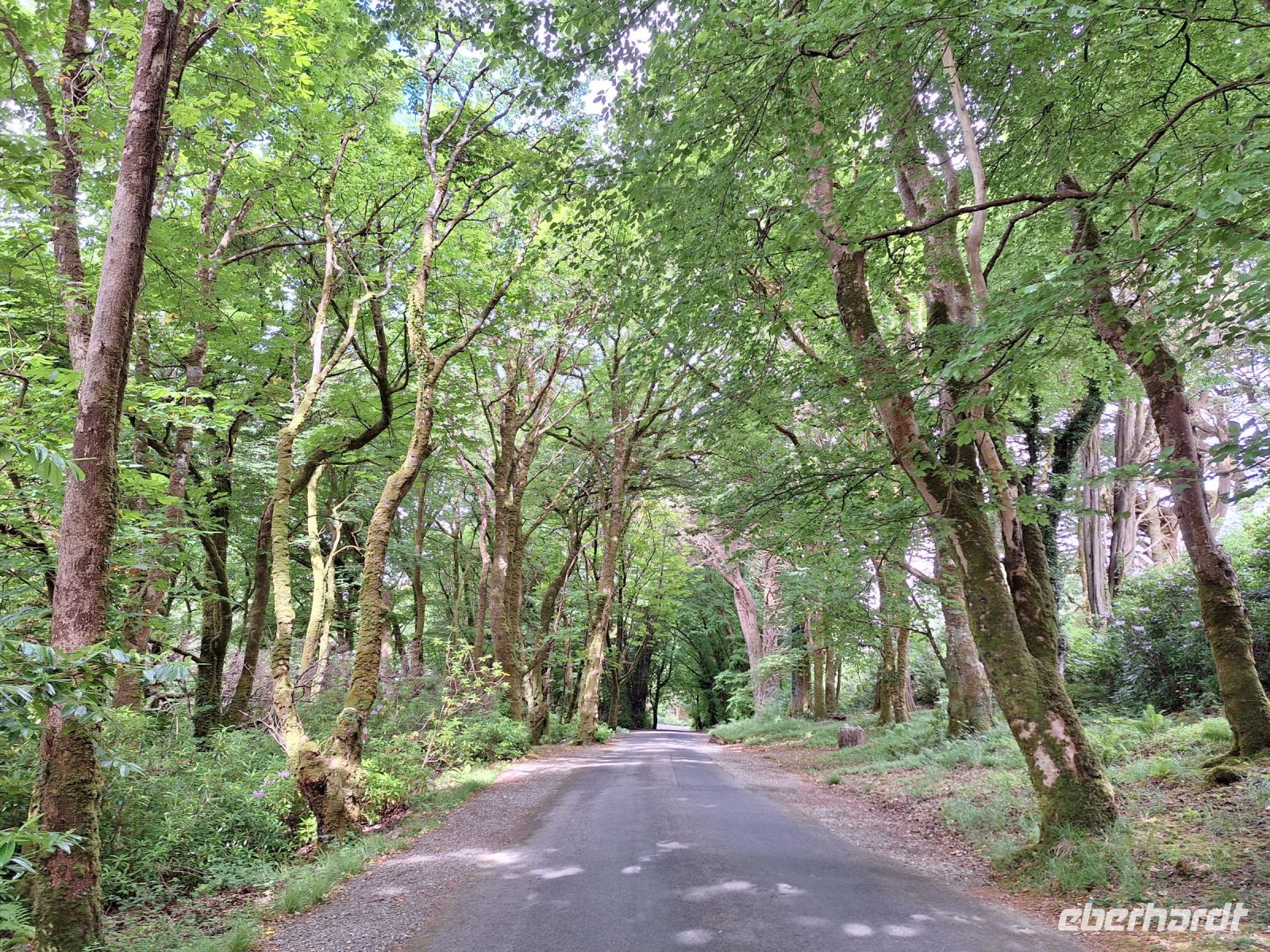 Kylemore Abbey Gardens &ndash; &copy; Sinah Witzig (Eberhardt TRAVEL)