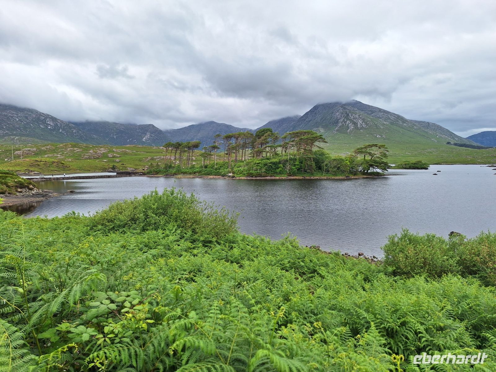 Pines Island &ndash; &copy; Sinah Witzig (Eberhardt TRAVEL)
