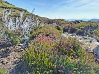Horn Head &ndash; &copy; Sinah Witzig (Eberhardt TRAVEL)