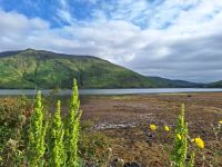 Killary Harbour