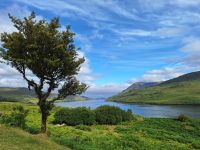 Killary Harbour &ndash; &copy; Sinah Witzig (Eberhardt TRAVEL)