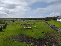 017-Sheep-farm Caherconnel &ndash; &copy; Dirk Schlosser (Eberhardt TRAVEL)