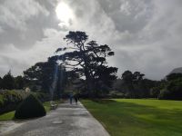 063-Muckross-Parc &ndash; &copy; Dirk Schlosser (Eberhardt TRAVEL)